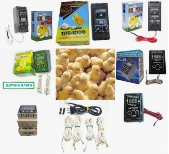 Терморегуляторы для инкубатора